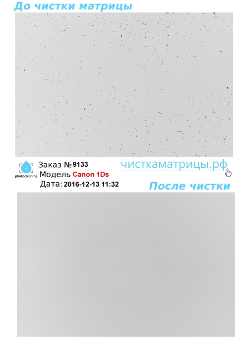 Чистка матрицы Canon 1Ds Чистка матрицы Canon 1Ds