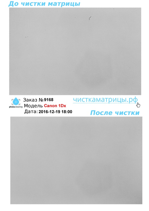 Чистка матрицы Canon 1Dx Чистка матрицы Canon 1Dx