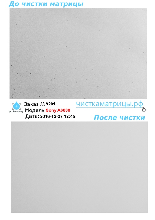 Чистка матрицы Sony A6000 Чистка матрицы Sony A6000