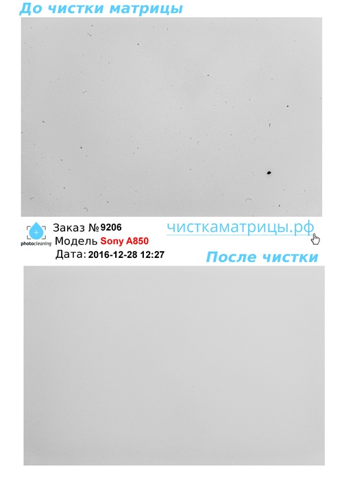 Чистка матрицы Sony A850 Чистка матрицы Sony A850