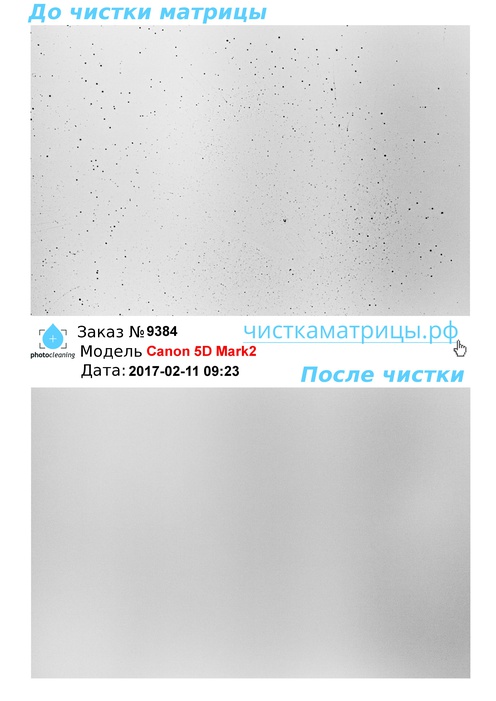 Чистка матрицы Canon 5D Mark2 Чистка матрицы Canon 5D Mark2