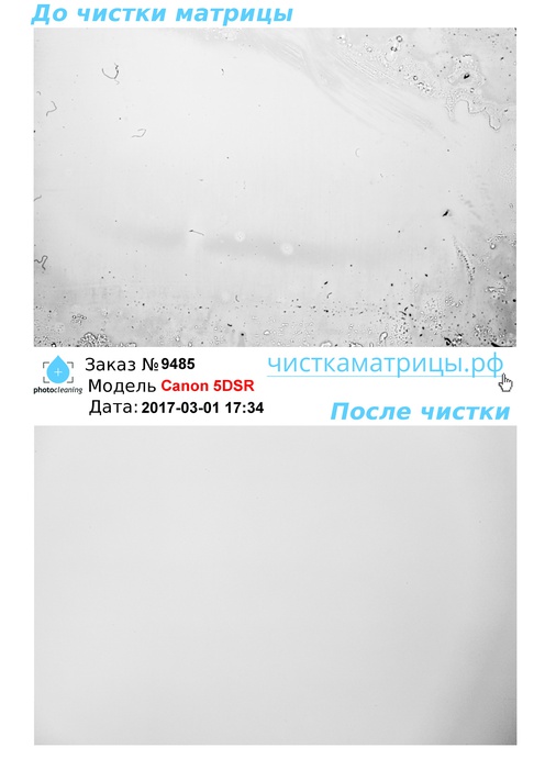 Чистка матрицы Canon 5DSR Чистка матрицы Canon 5DSR