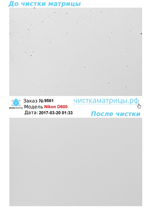 Чистка матрицы Nikon D600 Чистка матрицы Nikon D600