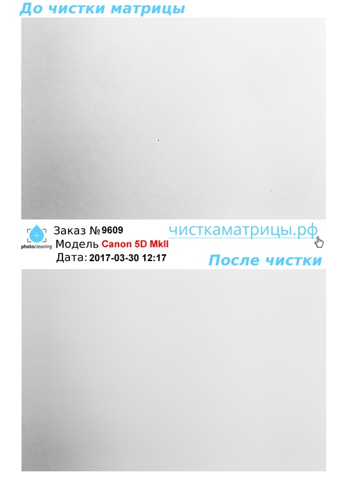 Чистка матрицы Canon 5D MkII Чистка матрицы Canon 5D MkII