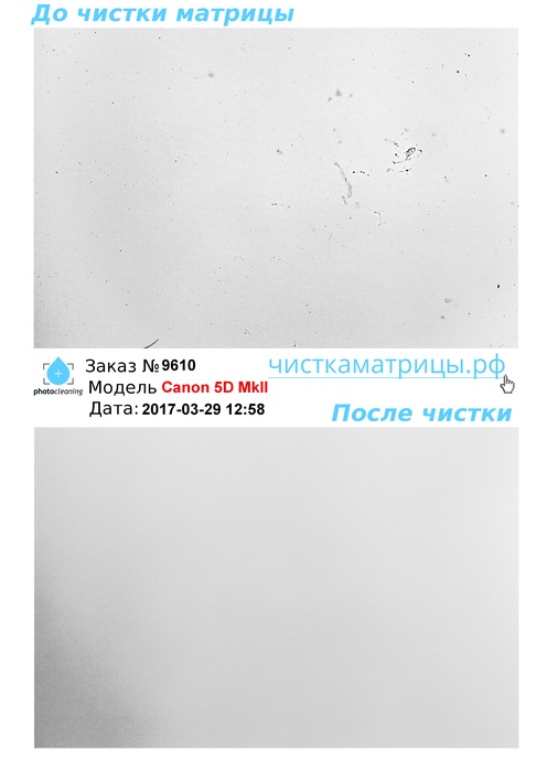 Чистка матрицы Canon 5D MkII Чистка матрицы Canon 5D MkII