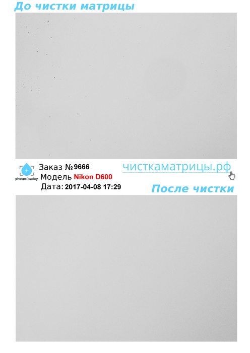 Чистка матрицы Nikon D600 Чистка матрицы Nikon D600
