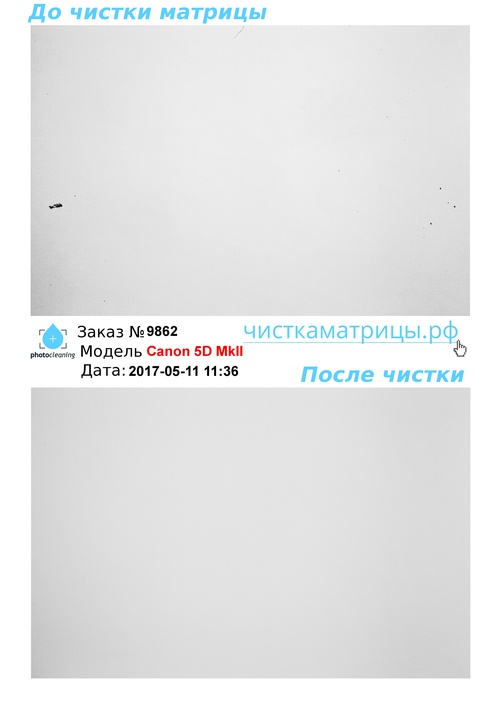 Чистка матрицы Canon 5D MkII Чистка матрицы Canon 5D MkII