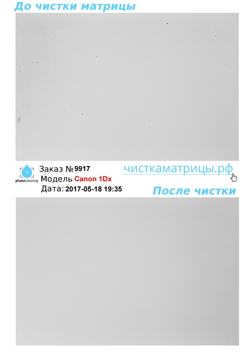 Чистка матрицы Canon 1Dx Чистка матрицы Canon 1Dx