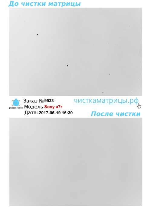Чистка матрицы Sony a7r Чистка матрицы Sony a7r