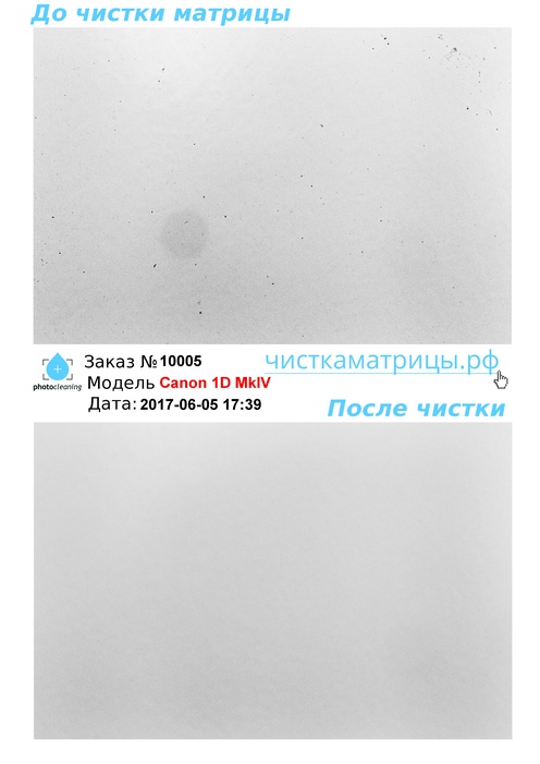 Чистка матрицы Canon 1D MkIV Чистка матрицы Canon 1D MkIV