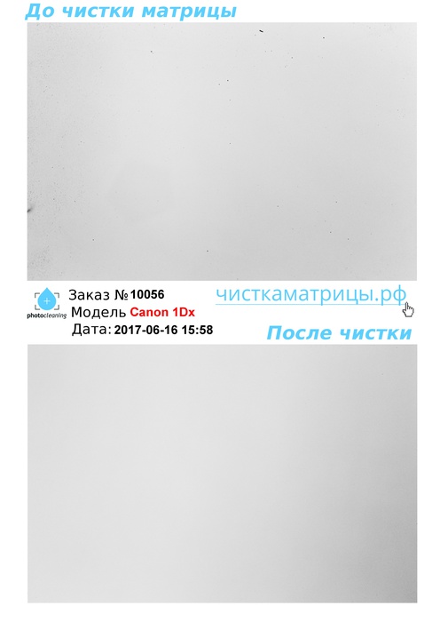 Чистка матрицы Canon 1Dx Чистка матрицы Canon 1Dx