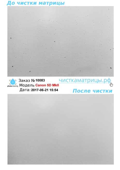 Чистка матрицы Canon 5D MkII Чистка матрицы Canon 5D MkII
