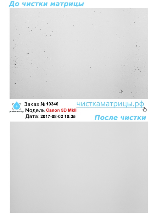 Чистка матрицы Canon 5D MkII Чистка матрицы Canon 5D MkII