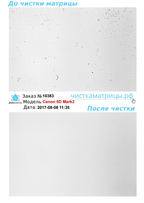 Чистка матрицы Canon 5D Mark2 Чистка матрицы Canon 5D Mark2