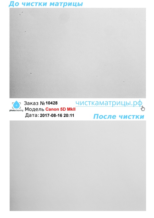 Чистка матрицы Canon 5D MkII Чистка матрицы Canon 5D MkII
