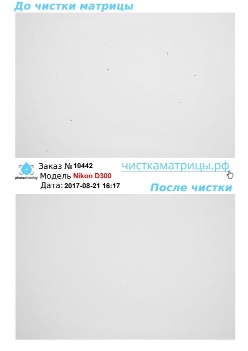 Чистка матрицы Nikon D300 Чистка матрицы Nikon D300