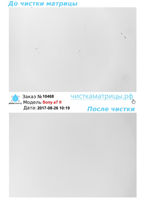 Чистка матрицы Sony a7 II Чистка матрицы Sony a7 II