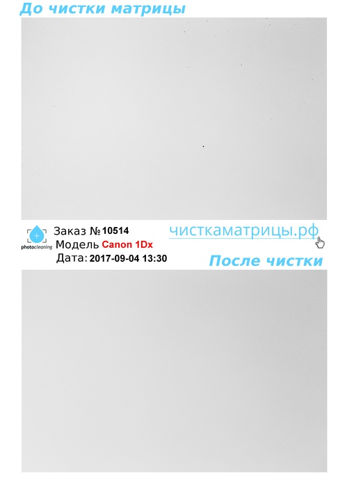 Чистка матрицы Canon 1Dx Чистка матрицы Canon 1Dx