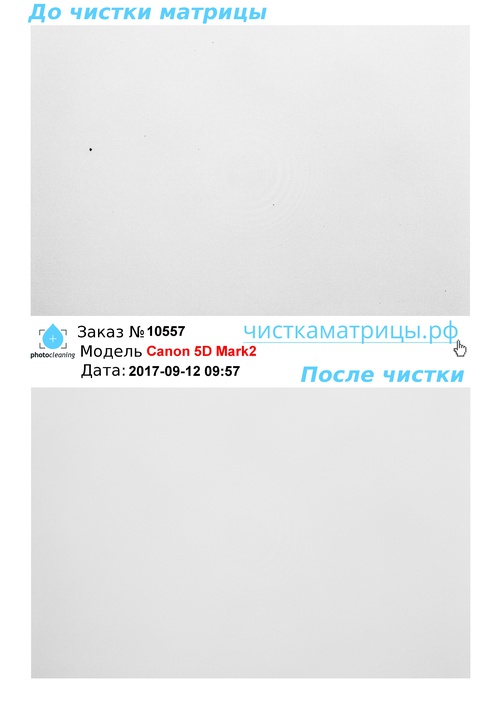 Чистка матрицы Canon 5D Mark2 Чистка матрицы Canon 5D Mark2