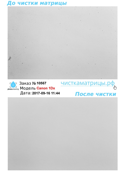 Чистка матрицы Canon 1Dx Чистка матрицы Canon 1Dx