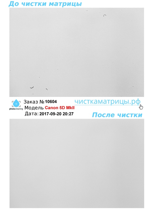 Чистка матрицы Canon 5D MkII Чистка матрицы Canon 5D MkII