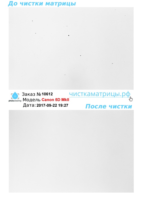 Чистка матрицы Canon 5D MkII Чистка матрицы Canon 5D MkII