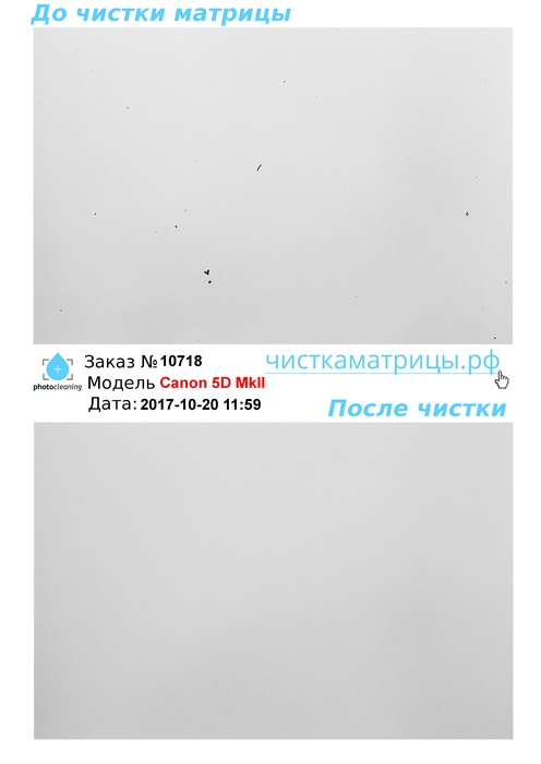 Чистка матрицы Canon 5D MkII Чистка матрицы Canon 5D MkII