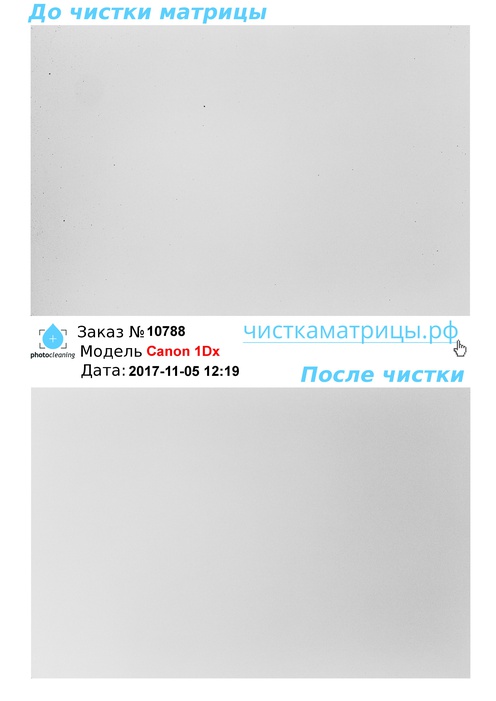 Чистка матрицы Canon 1Dx Чистка матрицы Canon 1Dx