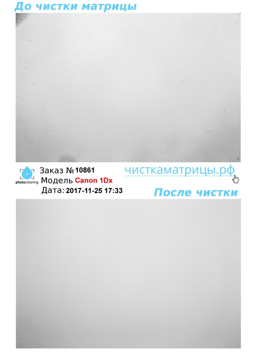 Чистка матрицы Canon 1Dx Чистка матрицы Canon 1Dx