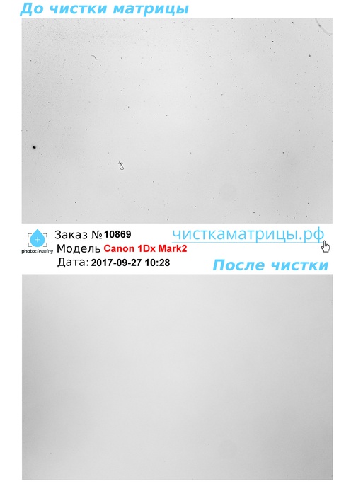 Чистка матрицы Canon 1Dx Mark2 Чистка матрицы Canon 1Dx Mark2