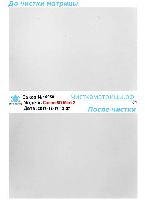 Чистка матрицы Canon 5D Mark2 Чистка матрицы Canon 5D Mark2