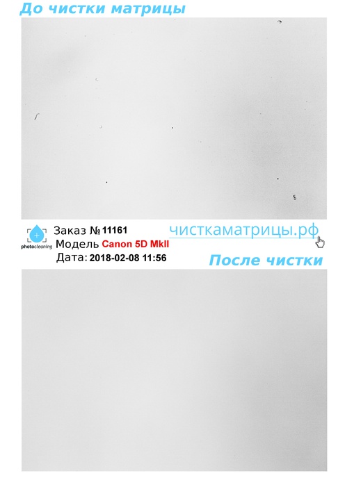 Чистка матрицы Canon 5D MkII Чистка матрицы Canon 5D MkII