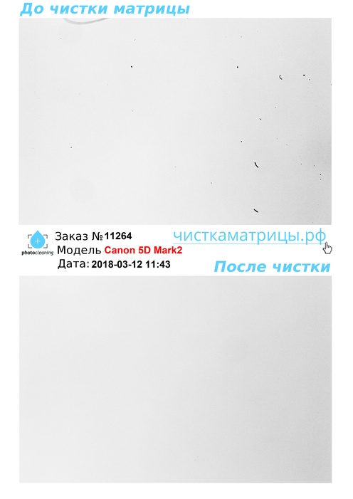 Чистка матрицы Canon 5D Mark2 Чистка матрицы Canon 5D Mark2