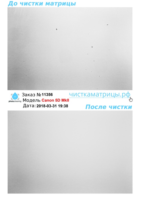 Чистка матрицы Canon 5D MkII Чистка матрицы Canon 5D MkII