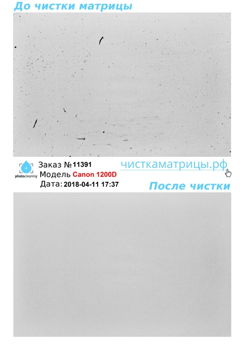Чистка матрицы Canon 1200D Чистка матрицы Canon 1200D
