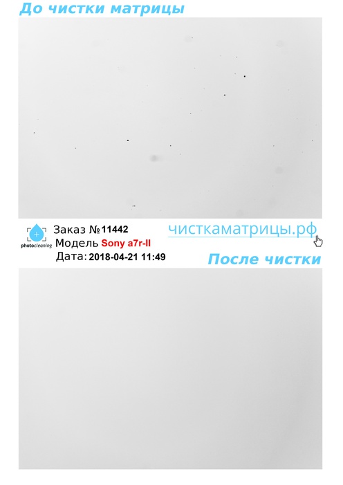 Чистка матрицы Sony a7r-II Чистка матрицы Sony a7r-II