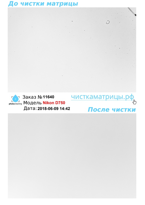 Чистка матрицы Nikon D750 Чистка матрицы Nikon D750