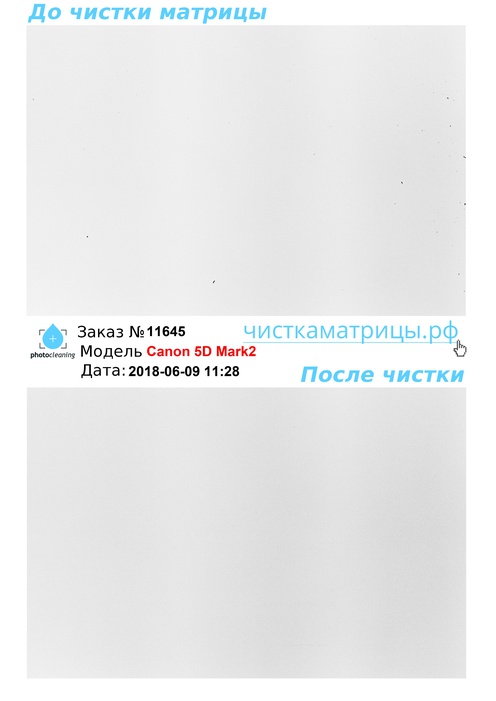 Чистка матрицы Canon 5D Mark2 Чистка матрицы Canon 5D Mark2