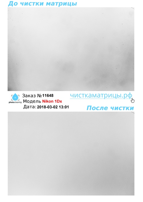 Чистка матрицы Nikon 1Dx Чистка матрицы Nikon 1Dx