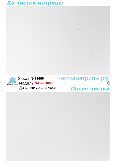 Чистка матрицы Nikon D600 Чистка матрицы Nikon D600