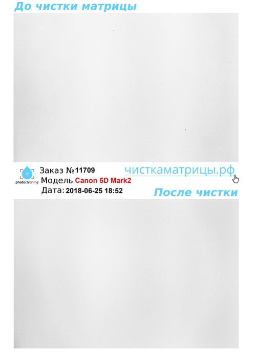 Чистка матрицы Canon 5D Mark2 Чистка матрицы Canon 5D Mark2
