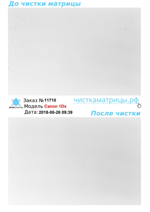 Чистка матрицы Canon 1Dx Чистка матрицы Canon 1Dx