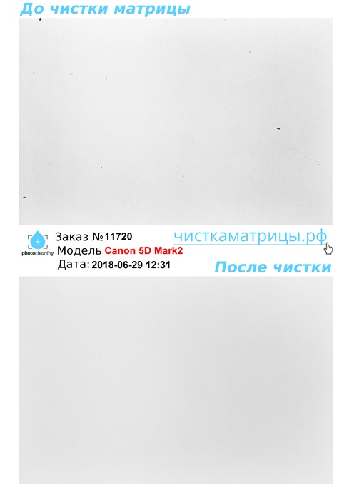 Чистка матрицы Canon 5D Mark2 Чистка матрицы Canon 5D Mark2