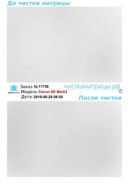 Чистка матрицы Canon 5D Mark3 Чистка матрицы Canon 5D Mark3