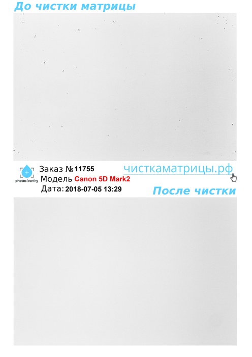 Чистка матрицы Canon 5D Mark2 Чистка матрицы Canon 5D Mark2
