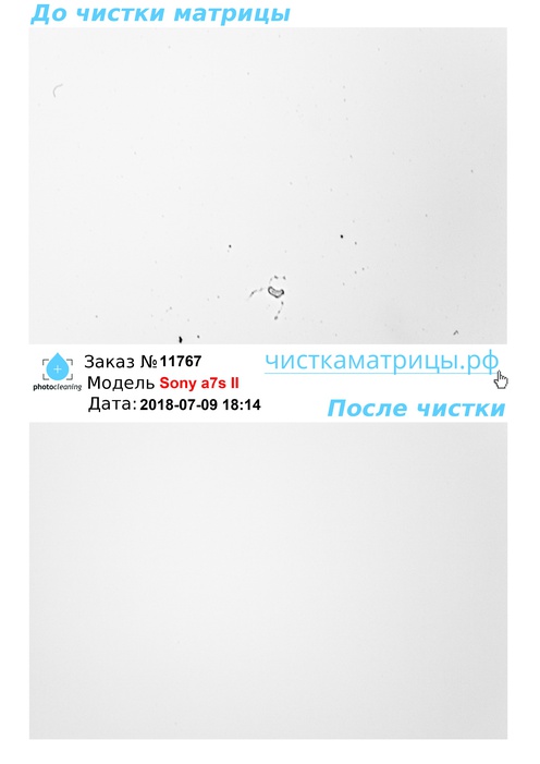 Чистка матрицы Sony a7s II Чистка матрицы Sony a7s II