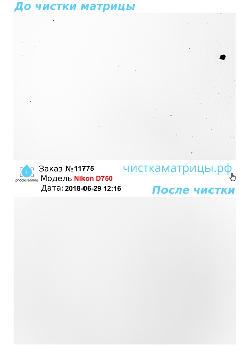 Чистка матрицы Nikon D750 Чистка матрицы Nikon D750