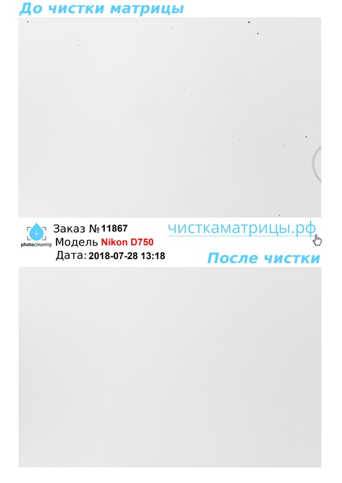 Чистка матрицы Nikon D750 Чистка матрицы Nikon D750