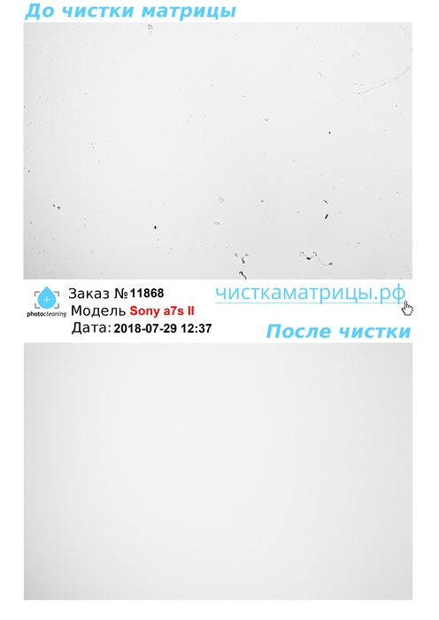 Чистка матрицы Sony a7s II Чистка матрицы Sony a7s II