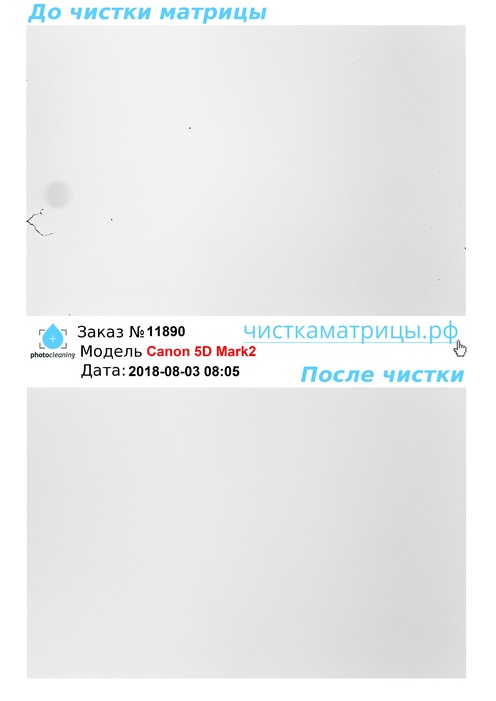 Чистка матрицы Canon 5D Mark2 Чистка матрицы Canon 5D Mark2